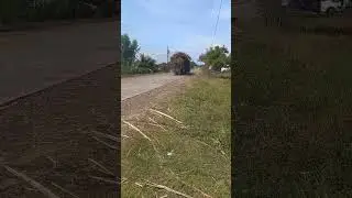 FULL LOAD OF SUGAR CANE