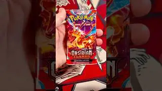 Illustration Rare! Pokemon Obsidian Flames! Scarlet and Violet! #pokemon #pokemoncards #pokemontcg