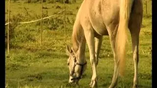 Fenêtre sur Eure : Les Chambres du Haras