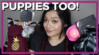 Лучший мега-перевоз в истории благодаря щенкам!!! PUR, Ulta, NanaMacs, Teami