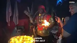 bani no 2