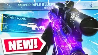 the NEW 
