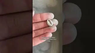 Let's make a silver shell pendant from silver clay