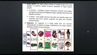 Levels of Organization and Emergent properties | Ch 5| Class 9 Biology