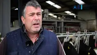 AEI Solar PV for John Downey Dairy Farm, Kilkenny