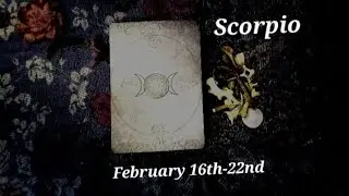 SCORPIO ⚡️ENERGY COLLECTION AND REDIRECTION!!! February 16th-22nd Tarot Reading