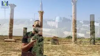 مدينة قويلبة الأثرية