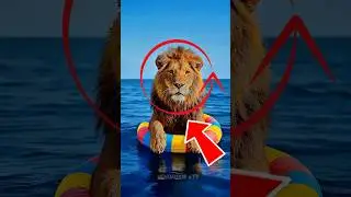 Choose a boat 🦁 #shorts #facts