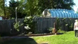 Yoda Doinker 3