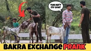 Bakra Exchange | Funny Reactions 😂😝 | Special #prank On Eid @alvipranks
