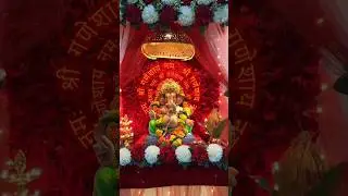 Ganesh Chaturthi 2024 #youtube #shorts #love #ganesh #bappa #zicaites