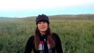 Alaska Haul Road, Caribou Hunt - Video Log - Day 4: Animals moving, few caribou