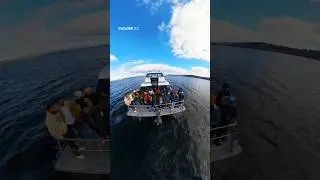 #cheemay #stagentry #punjabisong #newzealand #adventure #cruiseship #travel #punjabisong #newsong