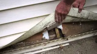 Bozrah, Conn. - Bamboo Damage