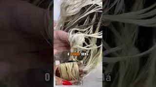Assim voc&ecirc; faz o loiro Perola! Aproveita e se escreve aqui no canal! 👇🏼❤️