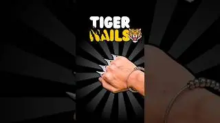Tiger Nails Tutorial In Best Way☣️🐯 #craft #diy #papercraft #experimnent #origami #papertoys #howto