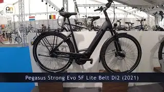 Pegasus Strong Evo 5F Lite Belt Di2 (2021) [city pedelec] - Ambringa Ebike Vide&oacute;k