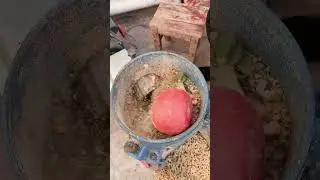 #pellet #pastille #bolita #feedpellet#feedgranulator #animalfeeding #haycutter#chaffcutter#cornmill