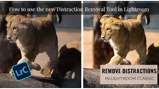 How to Use the Reflection Removal Tool in Lightroom Classic | Fix Glare & Shine Fast #lightroom