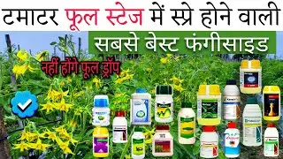 टमाटर फुल स्टेज में स्प्रे होने वाली बेस्ट फंगीसाइड🌱Tamatar fhool stage me spray hone wali fungicide