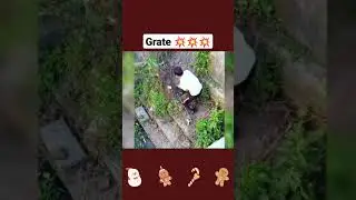 crazy fails #fails #topvideos #viral #reels #top10top #crazyfacts #facts #funny #funnyvideo #crazy