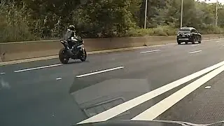swimming through traffic with a biker