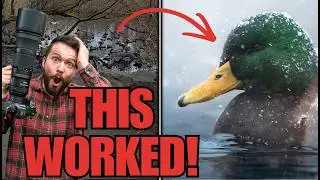 How To Take Banger Wildlife Photos In Boring Places.