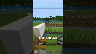 НАЧИНАЮЩАЯ AFK ФЕРМА САХАРНОГО ТРОСТА!