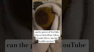 calling all chronic illness/mental health warriors! building a cozy community