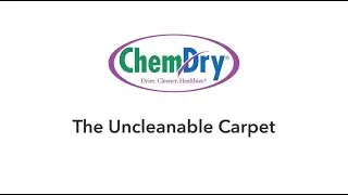 CARPET CLEANING SELANGOR - THE UNCLEANABLE CARPET