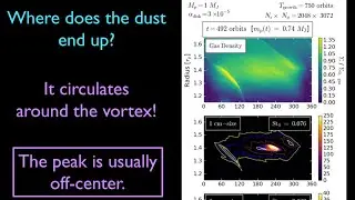 Michael Hammer - Generating Vortices with Slowly-growing Gas Giant Planets