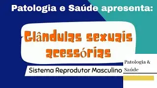 Histologia do Sistema Reprodutor Masculino: Glândulas Acessórias