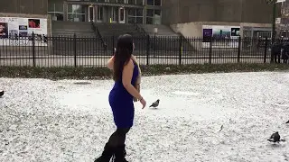 Finding The Fat Fairy