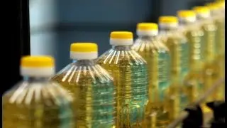Vegetable oil factory in Syria's Qamishli disposes of waste in a trench in farmlands