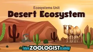 Desert Ecosystem | Plants and Animals of the Desert