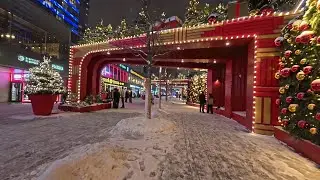 Новогодний Новый Арбат 2025 / New Year's New Arbat 2025