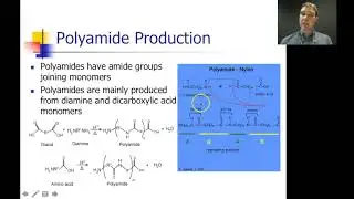 Flippin' Science-  Topic 3.8 Amides