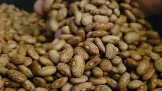 ASMR Sort Through Dry Beans with Me