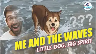 The Extraordinary Spirit of a Small Dog
