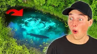 SJUKT FISKE I SÄLLSYNT UNDERVATTENSKÄLLA!