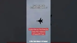 F-14 Tomcat Silhouette Pass!  #Eflite #F14 #TomCat #Twin40 #FighterJet #HappyRCFlyer