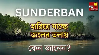 Sunderban High Alert: সর্বনাশ নেমে আসছে সুন্দরবনে, আর কোনও খোঁজ মিলবে না এলাকার, কেন | Bangla News