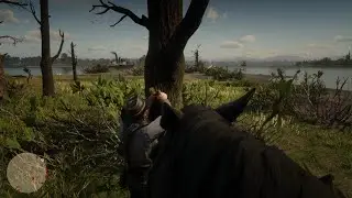 Red Dead Redemption 2 Chapter 4 Part 90 Cigar Orchids