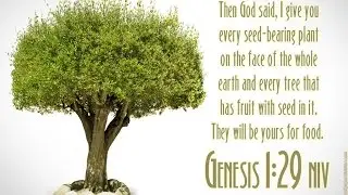 Herbs of The Bible Part I by Laralyn RiverWind N.D.