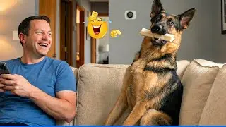 You Will Die Laughing At These Dogs😹🐶  The Funniest Dog Moments Compilation 🐾
