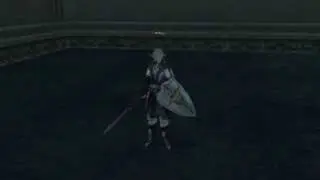 Fashion Clothes in Lineage 2