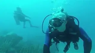 Snorkeling and diving in Sosua, DR (March 2018)