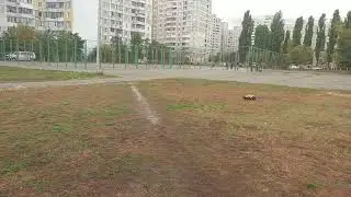 fs racing 53810