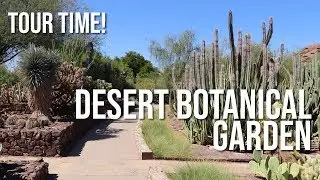 Tour Time! -- Desert Botanical Garden in Phoenix Arizona