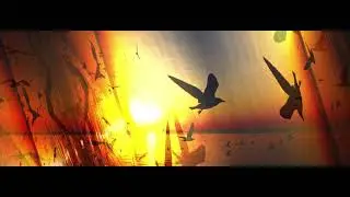 Boards of Canada: Satellite Anthem Icarus